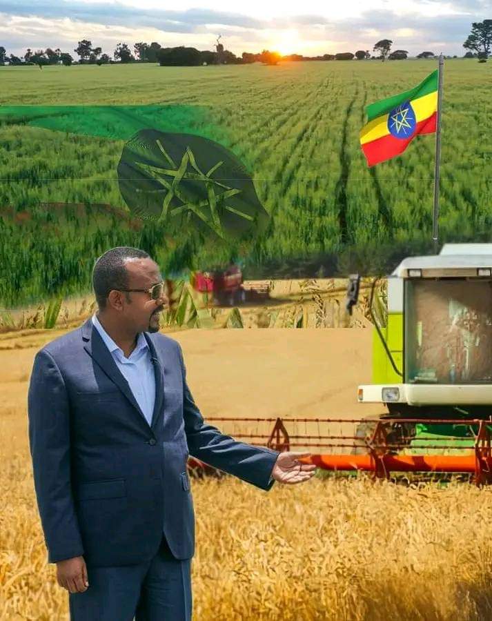 Through bold environmental initiatives, Prime Minister Abiy Ahmed has positioned Ethiopia as a leader in sustainability, preserving natural resources for future generations#AbiyAhmedAli #Ethiopia_prevails @guardian @AJEnglish @BBCAfrica @SkyNewsBreak