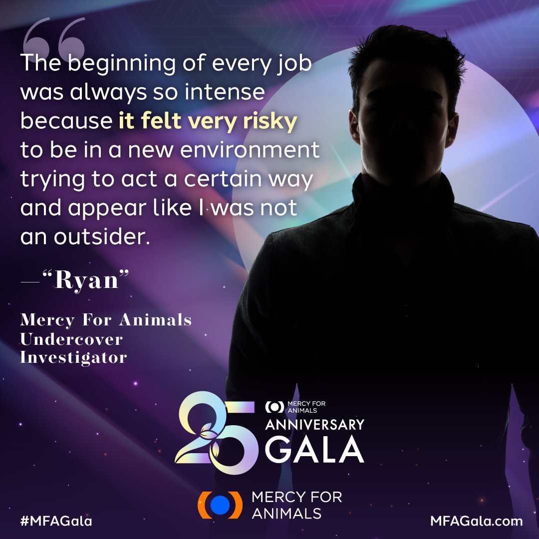 Mercy For Animals’ investigators endure harrowing conditions in factory farms to expose the suffering hidden within. We’re paying homage to this sacrifice by honoring our investigator “Ryan” with the Hidden Hero Award at our 25th anniversary gala.

💚➡️MFAGala.com