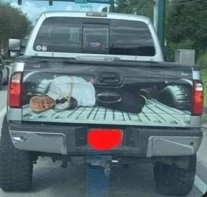 No Lie with Brian Tyler Cohen tweet media