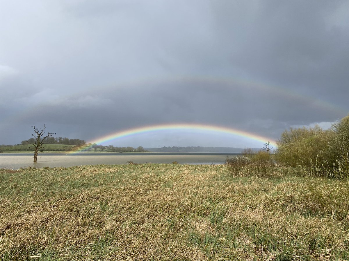 gingerbirder's tweet photo. Another great afternoon spent volunteering with Maya and 33(11). Even the showers were spectacular! @rutlandospreys @RutlandWaterNR @LeicsWildlife https://t.co/8mjdE4gIql