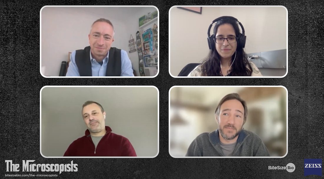 🎙️ What's happening in the #Latinx #BioImaging community? 🤔 In this episode of the Microscopists, Peter O'Toole (@YorkBioimaging) discusses the @LatamBioimaging Initiative with @AndresKamaid, @MalacridaLab, and @mariana_deniz. youtu.be/TTOvLsvwLDA