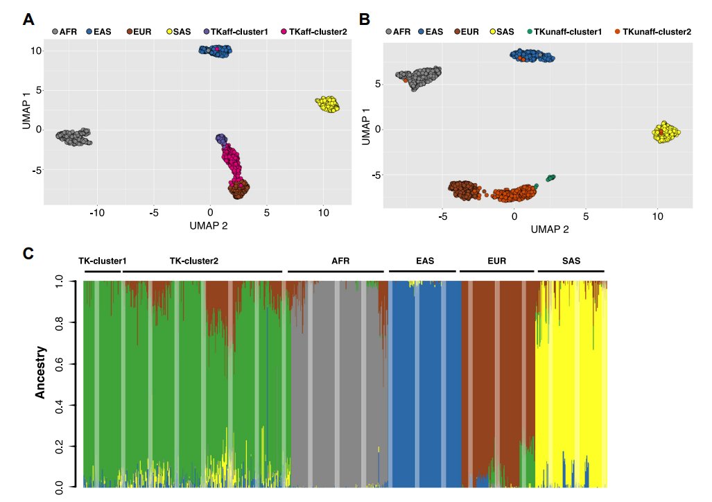 Significant contribution of novel rare variants on newly configured haplotypes arising within the recent past generations of a family or clan to recessive disease traits: new analysis of the variome of the Turkish (TK) population bit.ly/3x8fhYL @zcoban #GIMO