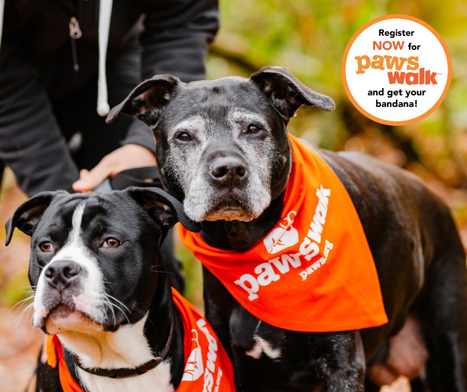 PAWSwalk registration is open now! 🎉 When you sign up, your furry friend will receive a stylish PAWSwalk bandana and if you raise $50, you'll get an exclusive PAWSwalk tee! 👕 Grab your walking shoes and register now at pawswalk.net 🐾