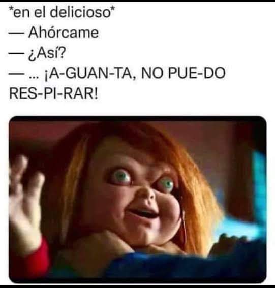 Susana g. m tweet media