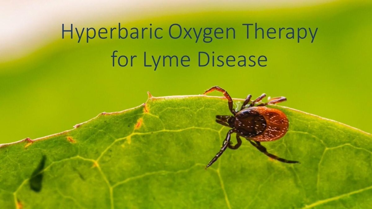 O2OASIS's tweet image. Physicians combine HBOT with antibiotics for Lyme disease. As the bacteria are anaerobic, HBOT increases oxygen, reducing them effectively. bit.ly/4aB1OHk