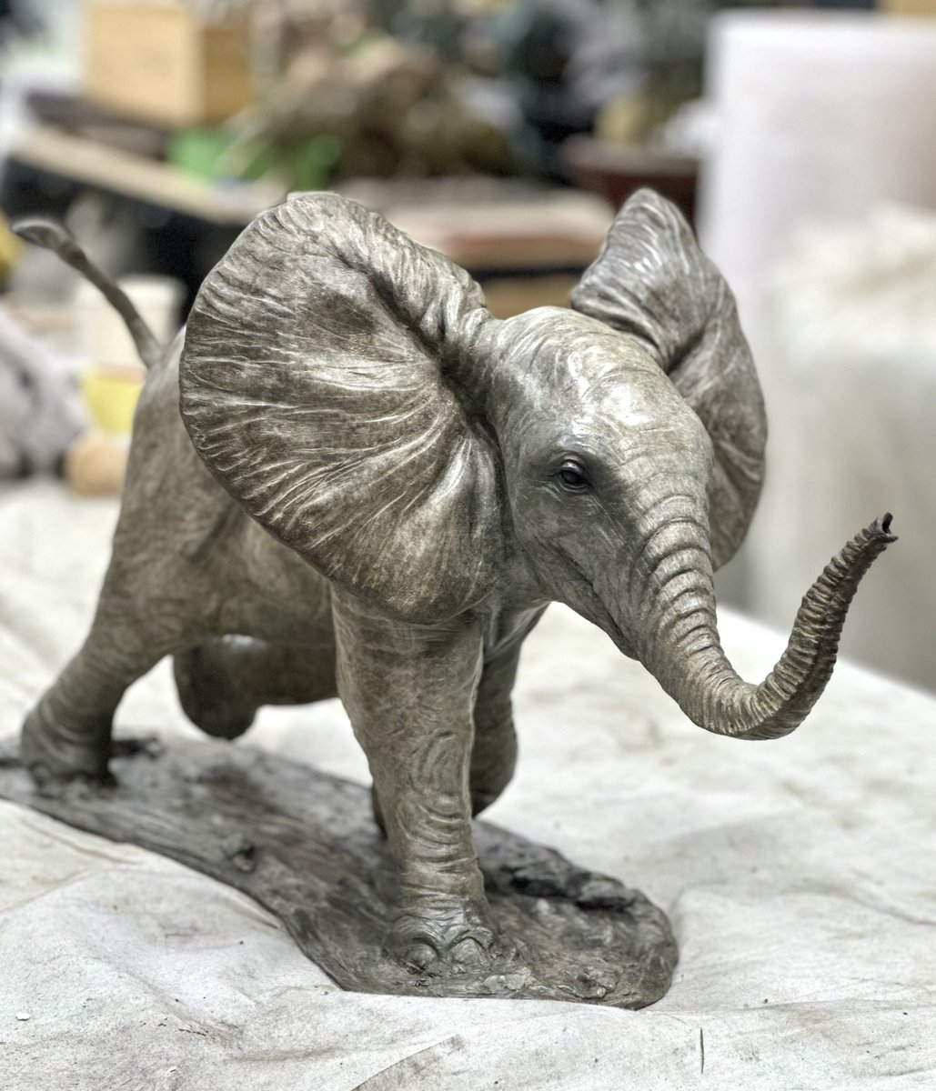 Rosamond Lloyd tweet media