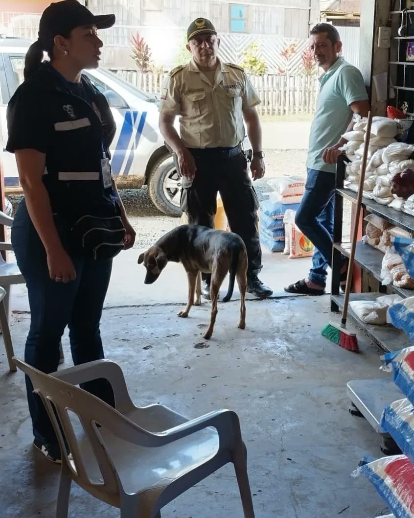 GoberManabi's tweet photo. En el cantón #Paján, bajo la gestión de Gobernador de Manabí y delegación de Intendente de Policía, la Comisaría Nacional de Policía, en recorrido por algunas parroquias, interviene en tiendas, frigoríficos y puestos de mariscos verificando que no exista especulación de precios. https://t.co/IwqGecUYo6