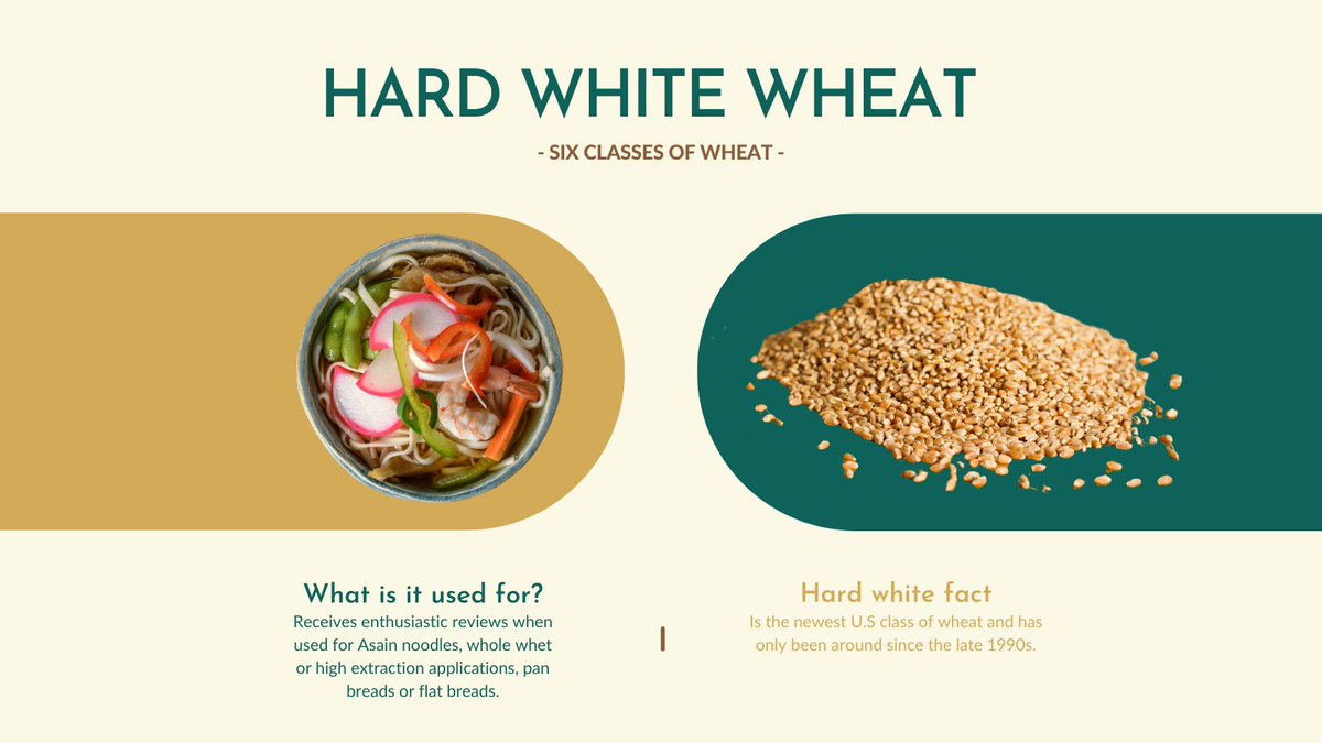 #wheatoftheweek Typically hard white wheat is the type of wheat that we are most familiar with. Hard white works best for Asian noodles, whole wheat, pan breads or flat breads. #wheatoftheweek