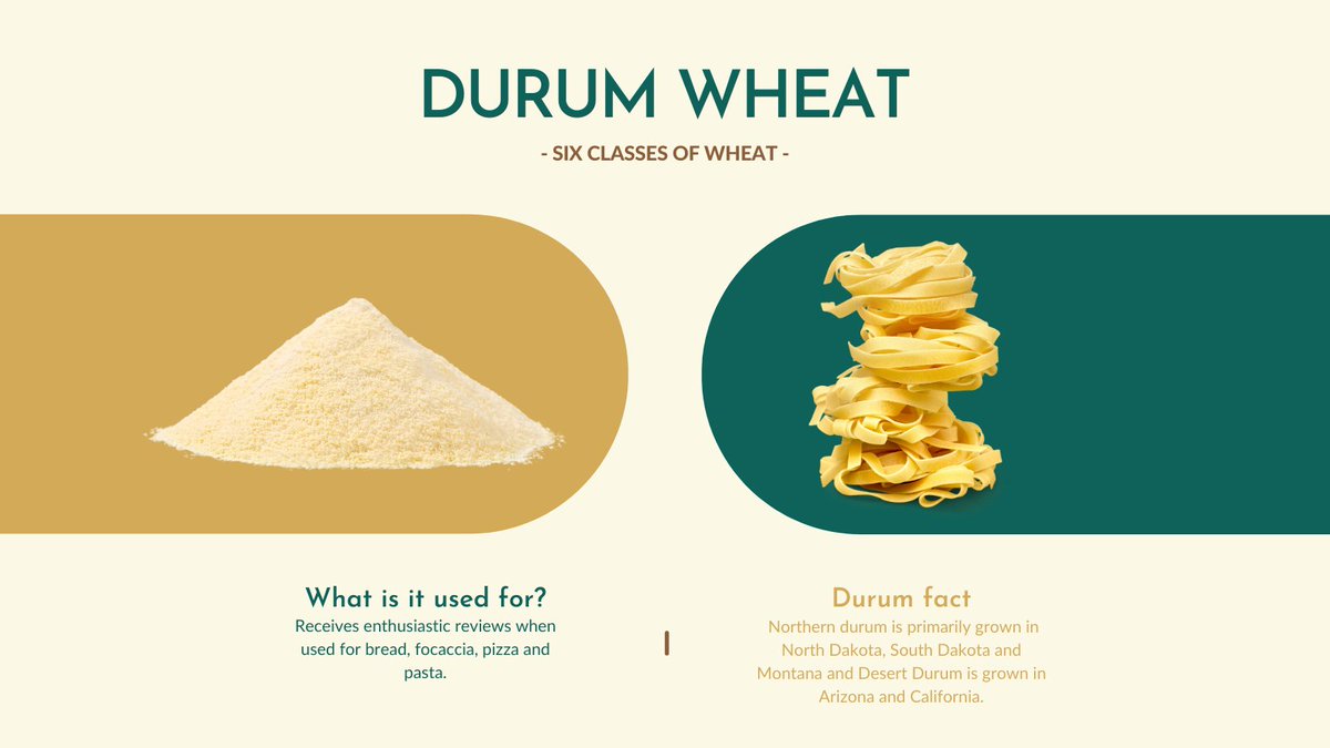Durum wheat is the hardest of all wheats. Durum has a rich amber color and is high in gluten content. It's the top choice for pasta products and is less often used to make various types of bread. #wheatoftheweek