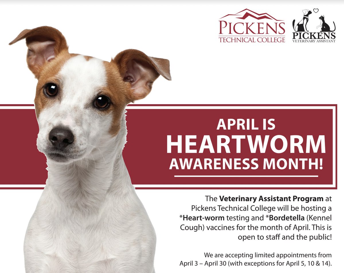 We’re starting Heartworm Awareness Month early here at Pickens Technical College! 🦟❌Here’s how: Make your appointment here: tinyurl.com/ek9y8x6k #pickenstechnicalcollege #aurorapublicschools #heartwormawarenessmonth #veterinaryassistant #agreatplacetostart