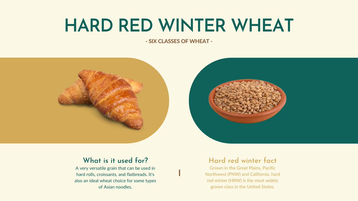 Hard red winter wheat is a multi-purpose wheat class due to its outstanding milling and baking characteristics. Hard red winter is used in many foods such as hard rolls, pan breads, flatbreads, and croissants. #wheatoftheweek
