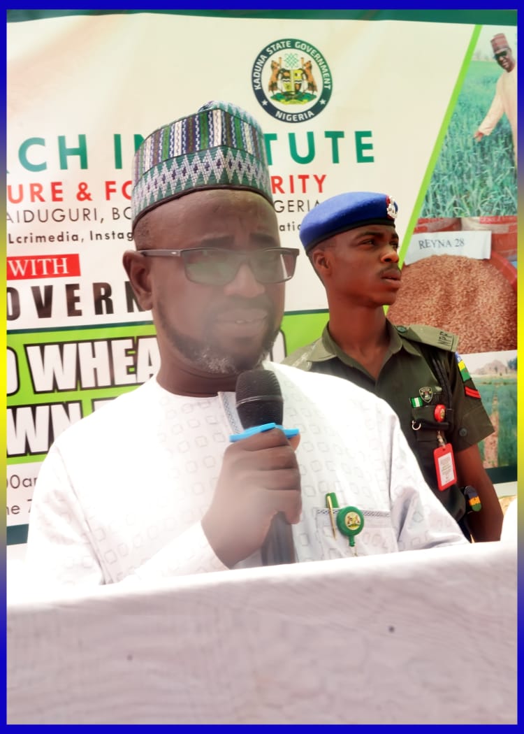 KadunaMOAgric's tweet photo. Yesterday, the Ministry in collaboration with Lake Chad Research Institute marked Wheat Brown Field Day at our Galma Irrigation Scheme in Zaria. The farms were decorated in hues of brown - a visual representation of the quality of inputs, meticulous planning and extension service https://t.co/yjOuT6e78t