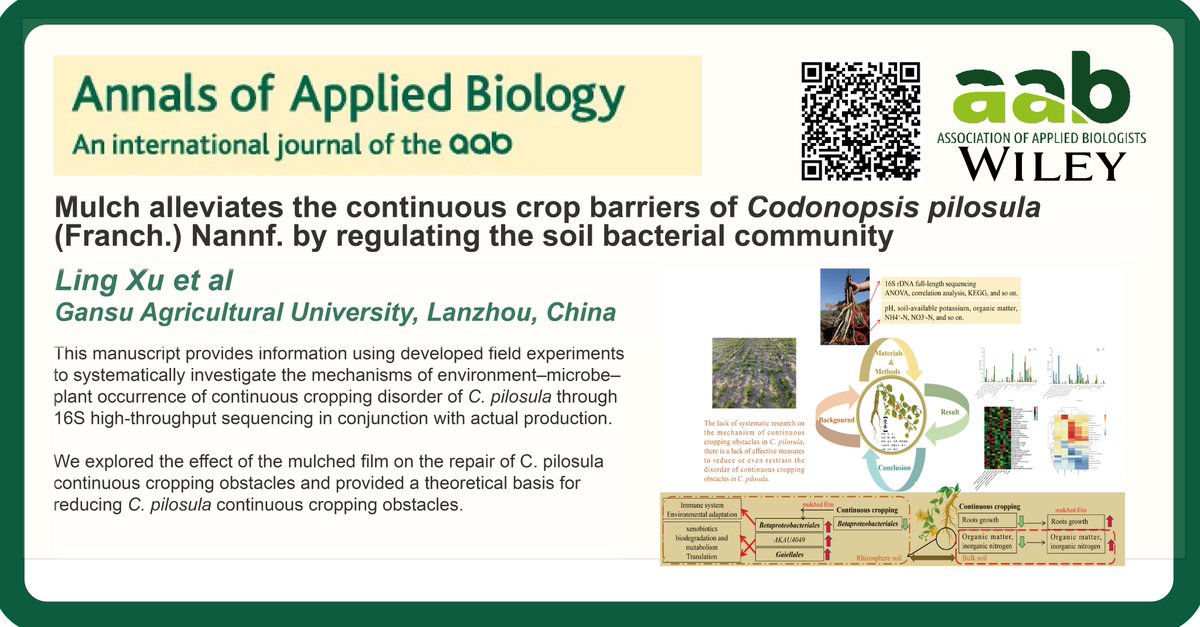 🚨 Mulch alleviates the continuous crop barriers of Codonopsis pilosula by regulating the soil bacterial community 🦠 @wileyplantsci