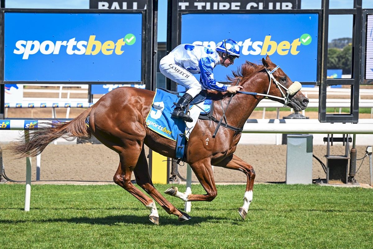 buff.ly/3xehF0b 2YO Skipjack Skips Away To Win His Maiden In Dominant Fashion Skipjack a 2YO colt son of sire Rubick gave his rivals a galloping lesson when winning his maiden at Ballarat over 1100 metres.