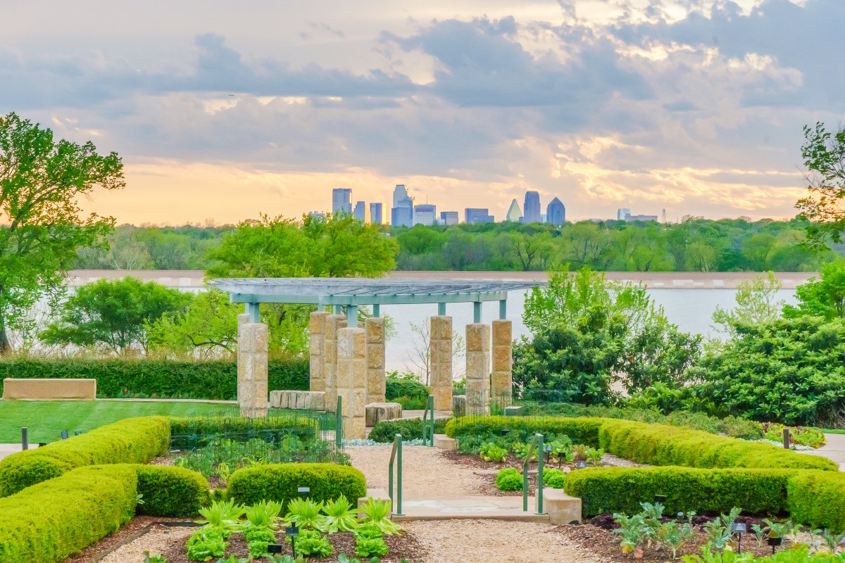 This view never gets old! Have a great Easter weekend Dallas 🐰 🌼