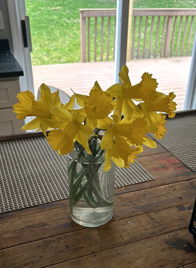 Started the long weekend with a beautiful view and my daffodils.