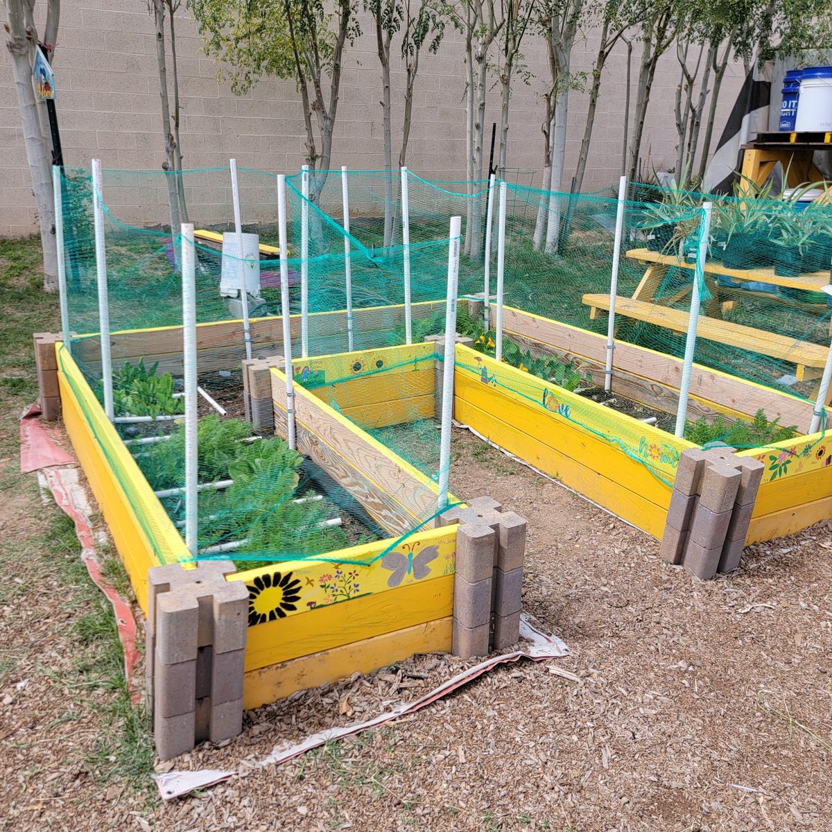 SRPconnect's tweet image. Our employee volunteers did a wonderful job decorating the gardening beds sponsored by SRP at the @KPB_AZ community garden. These gardening beds will be used to educate the students from the nearby elementary school.