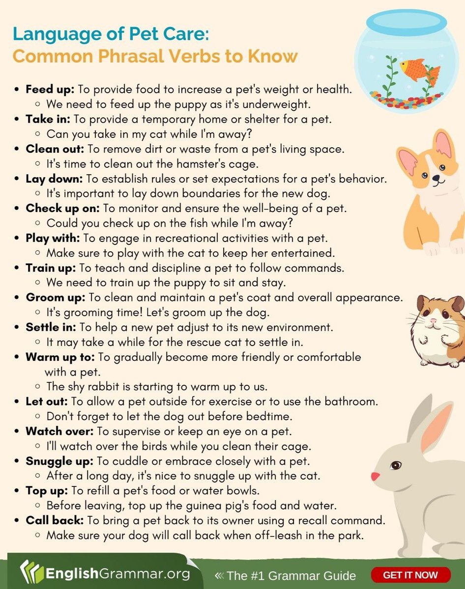 EnglishYDEMAS's tweet photo. 🐕Cuidado de mascotas.

#Perros #Gatos 
#EnglishLearning
#LangTwt
🖼️ GrammarUpdates https://t.co/wRJuujPqlN