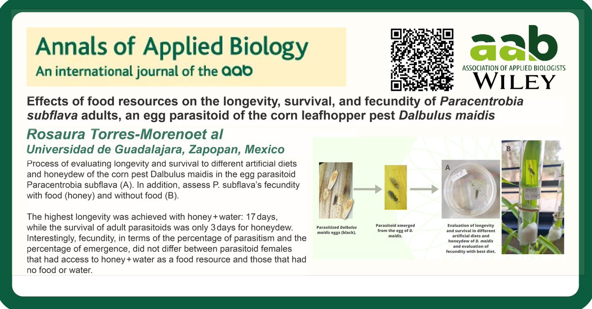 🚨 Effects of food resources on the longevity, survival, and fecundity of Paracentrobia subflava adults, an egg parasitoid of the corn leafhopper pest Dalbulus maidis @wileyplantsci @udg_oficial onlinelibrary.wiley.com/doi/full/10.11…