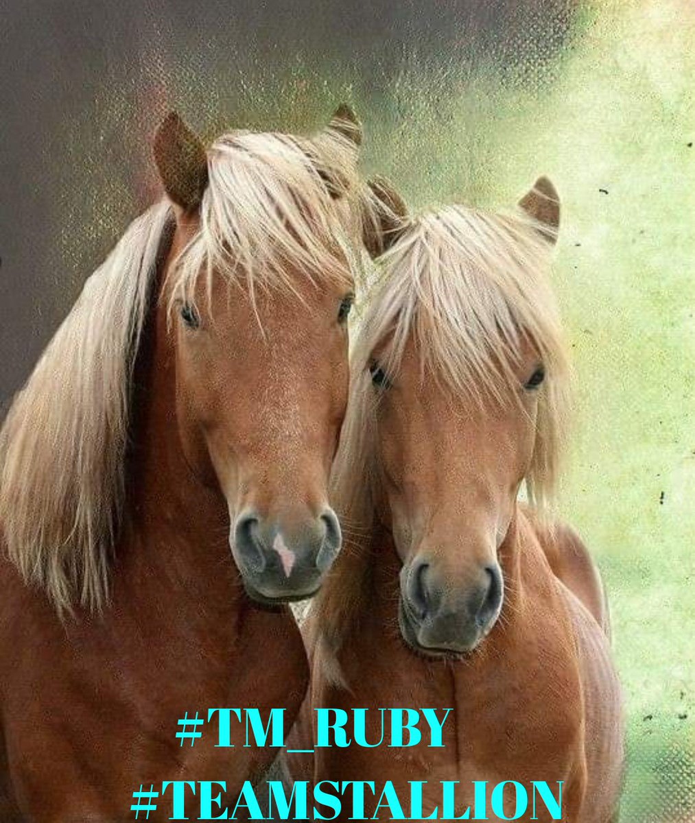 Siogo61's tweet image. #Tm_Ruby 
#TEAMSTALLION
@ruby2015xo @MarEthr
@italianostyle2
@bluea125 @R3_Adv
@MarthaCandia21
@BrettMGWV2
@JIMENAC__
@MARTHA_CAN2
@BrettMGWV @MoniT__
@electwave_music
@ONE_WORLD_UN
@moni_dollnature
@monicampon
@Spencerjames211
@nuvisionquestt2
@GRAHAM15583070
@Siogo61 @lumpie125