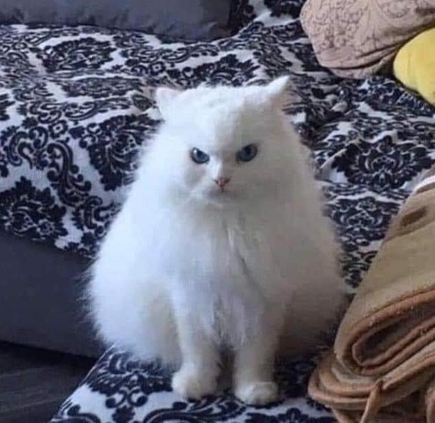 current_crises2's tweet image. #Yahooニュース