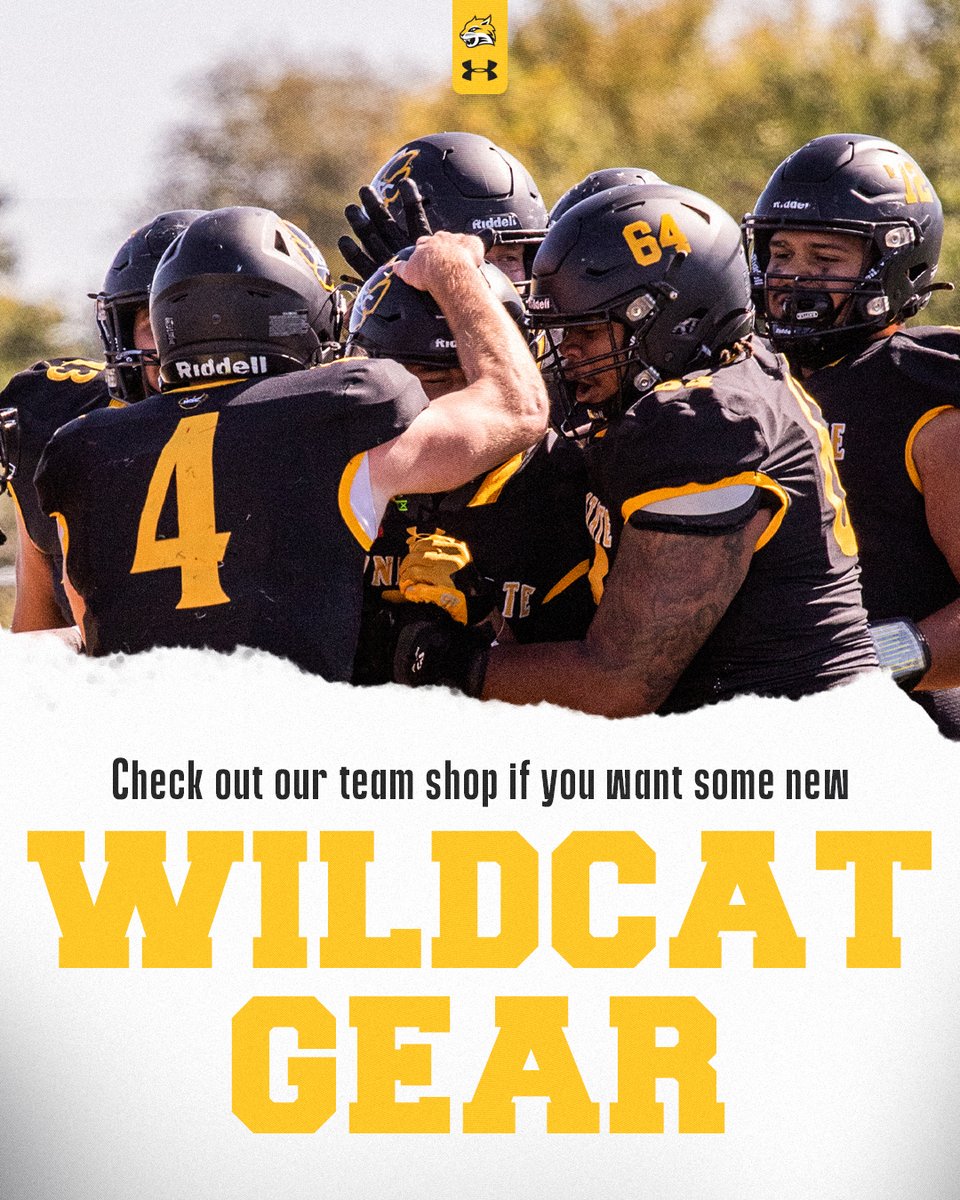 🚨🐾🐯🚨 Click the link to get some Wildcat Gear from our team shop! bsnteamsports.com/shop/WSCfb24