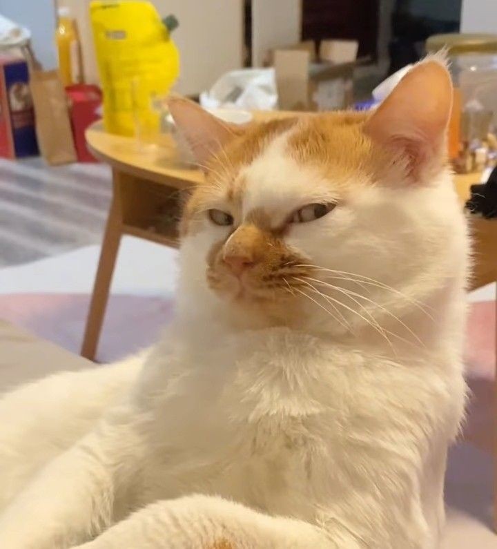 current_crises2's tweet image. #GrandeFratello #永久追放