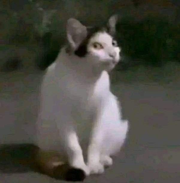 current_crises2's tweet image. #永久追放