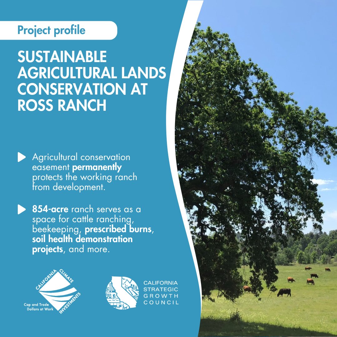Ross Ranch, in Shasta County, serves as a learning lab and protected space for ranching, beekeeping, and habitat maintenance by operating under an agricultural conservation easement with funding from @CalSGC's SALC Program. 👉bit.ly/RR2024cci #CAClimateInvestments
