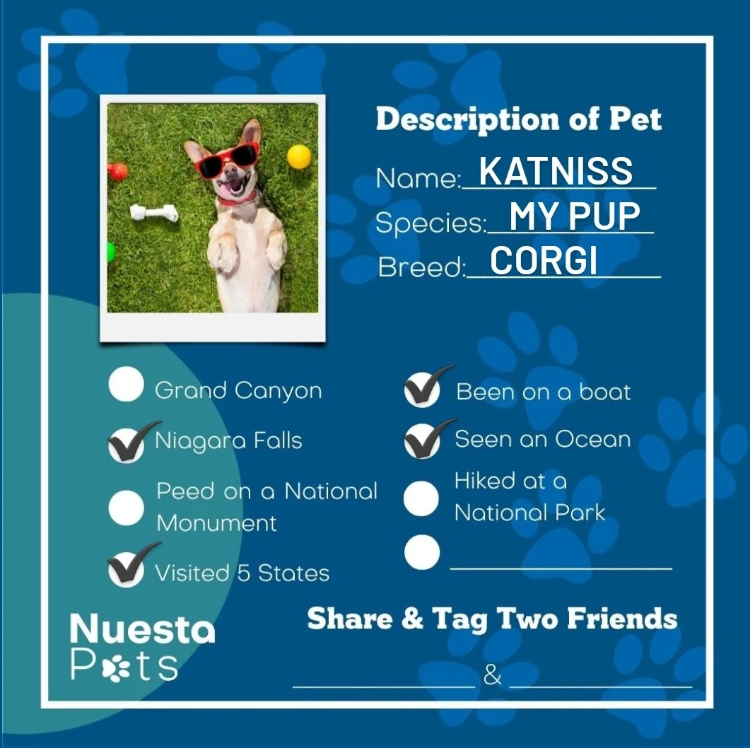 NuestaPets tweet picture