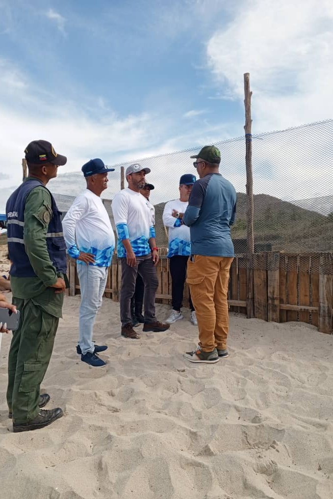 inea_venezuela's tweet photo. #29Mar #SemanaSantaSeguraINEA2024

El pdte del @inea_venezuela
CN. Germán Gómez Larez visitó #hoy el nidario de tortugas marinas ubicado en el sector Playa Parguito de #NuevaEsparta que fue reconstruido con el apoyo de la @capiptopampatar.

#SemanaSantaSegura2024 https://t.co/LAzq6Nucm8