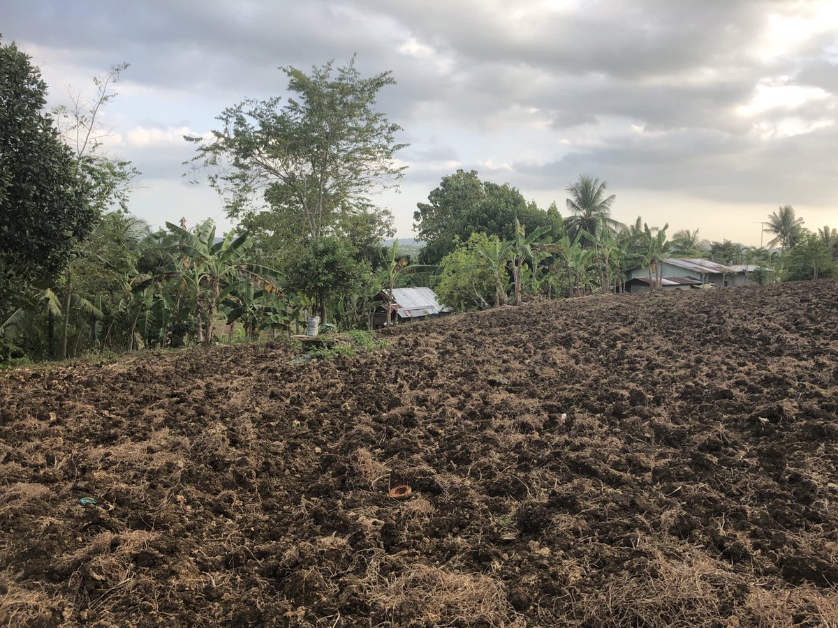 Tuyong-tuyo ang mga bukirin. Hindi makapagtanim ang mga magsasaka dahil sa kawalan ng tubig. 

Sa Cebu City kung saan nararanasan ang dry spell, nagdeklara na ng state of calamity sa 28 mountain barangays. 

#ElNinoPH 
#MarcosPalpak
#MarcosPesteSaMagsasaka
#AyudasaBiktimaNgElNino