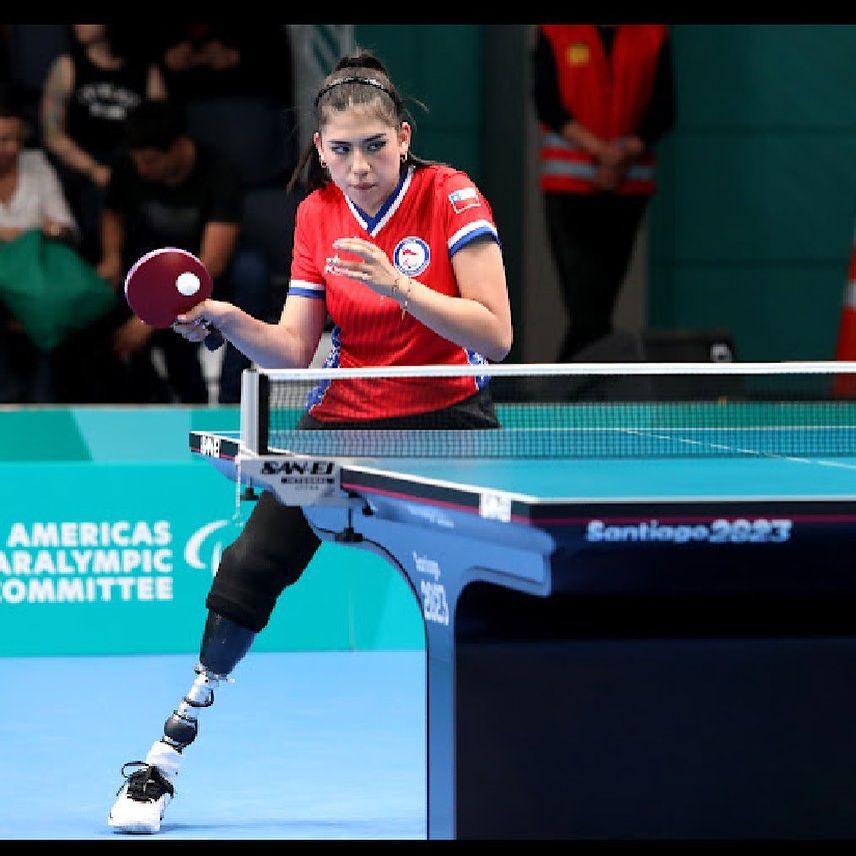 _el_JL_'s tweet photo. A una deportista paralímpica le robaron su medalla de Santiago 2023 en Macul. Se llevaron su mochila con todas sus cosas incluida la medalla que andaba trayendo para una grabación. Por favor se ruega ayudar a difundir para recuperarla, hay recompensa. #Difundir #TwitterHazTuMagia https://t.co/VHGOsTechR
