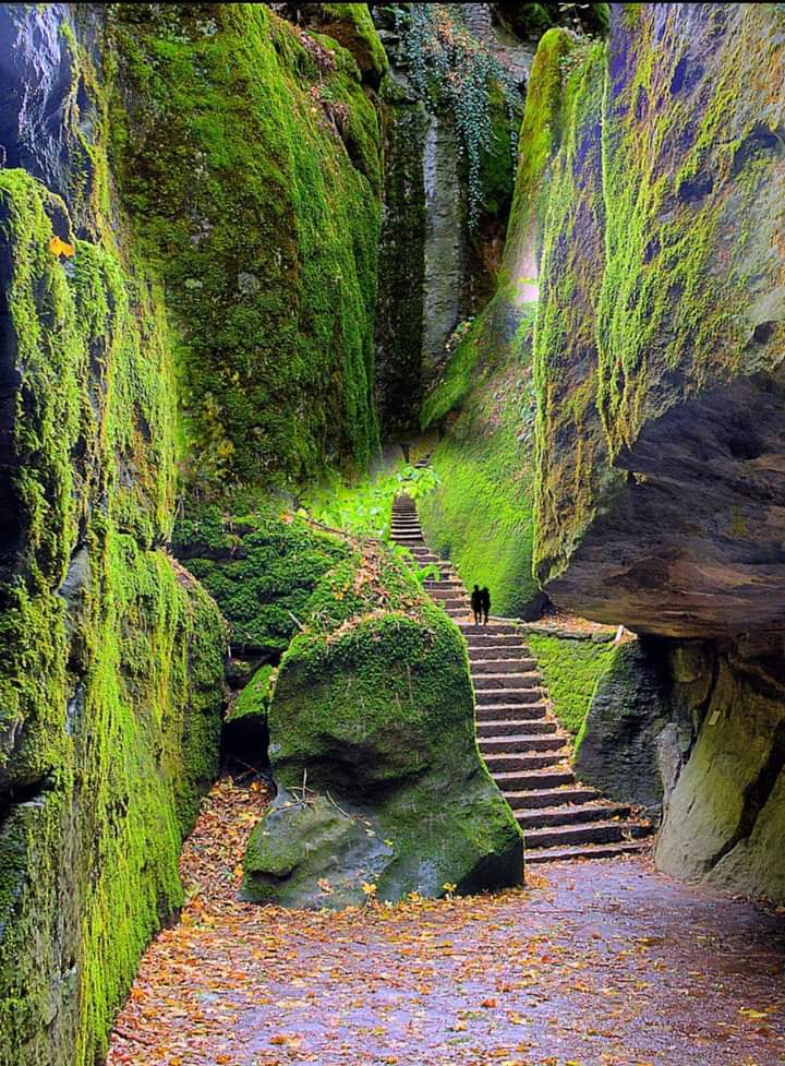 Gd mrng X World, Happy Weekend to all of my Steps leading to La Verna, Tuscany, Italy 🇮🇹