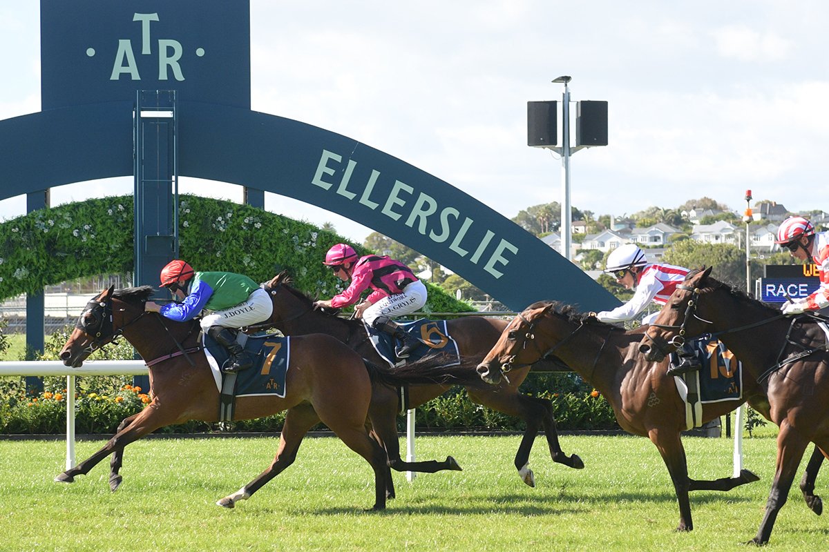 Auckland Thoroughbred Racing (@ellerslie_races) on Twitter photo Andrew Forsman trained Sporting Chance and Joe Doyle grind out a tough win Elsdon Park 2200
<a href="/ElsdonPark/">Elsdon Park</a> <a href="/Forsman_Racing/">Forsman Racing</a> Andrew Forsman trained Sporting Chance and Joe Doyle grind out a tough win Elsdon Park 2200
<a href="/ElsdonPark/">Elsdon Park</a> <a href="/Forsman_Racing/">Forsman Racing</a>