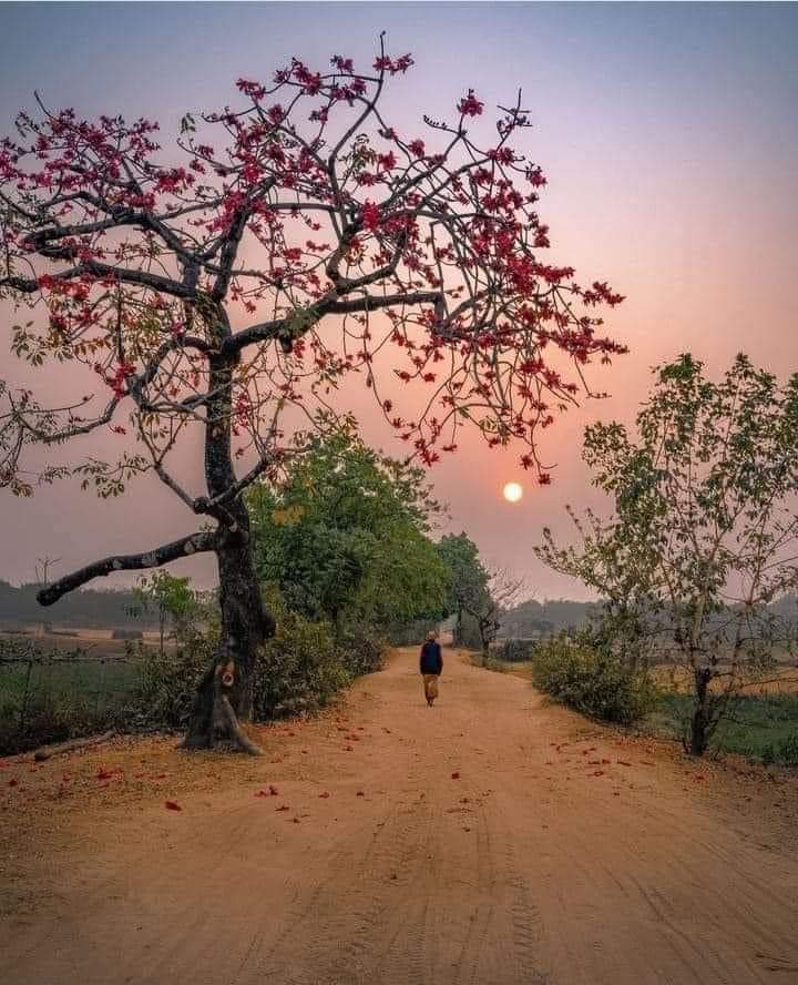 دل سے نکلی ہی نہیں شام جدائی والی
تم تو کہتے تھے برا وقت گزر جاتا ہے