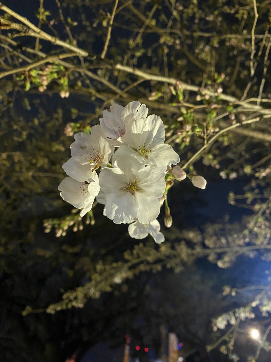 manami🌞←抽選の神 tweet media