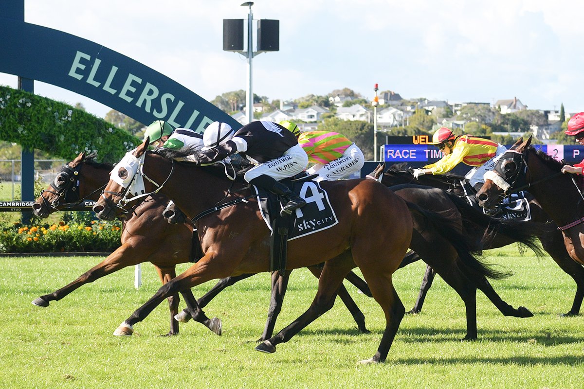 Tony Pike trained Roederer wins the last, SkyCity Horizon 1600

<a href="/pikeracingnz/">Pike Racing</a>