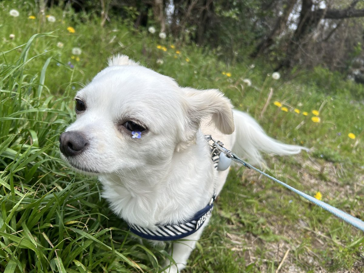 comcomcomg's tweet image. 目に なにかついた！