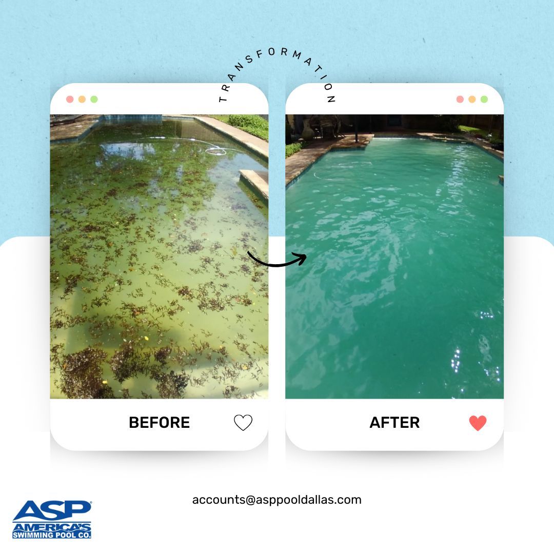 ASPDallasTexas's tweet image. Don&apos;t let your pool turn into a green nightmare!  Keeping your pool clean isn&apos;t just about aesthetics, it&apos;s about safety and hygiene too. &quot; 

#ASPDallas #ASPMcKinney #ASPFlowerMound #FitnessMotivation #summerready #cleanwatermatters #PoolRenovation #GreenPoolCleanUp #SwimSafe