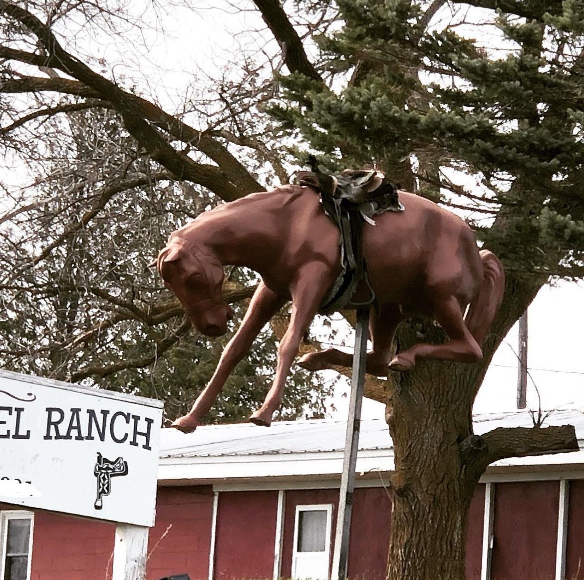 On M-68 just east of #OnawayMichigan you will find this big #horse #sculpture on a pole at #WagonWheelRanch! It's been there since I was in elementary school and it's pretty cool! 🐴

#wiltonwanderlust #travel #roadsideattractions #fun #roadsideoddities #wagonwheelranch #onaway
