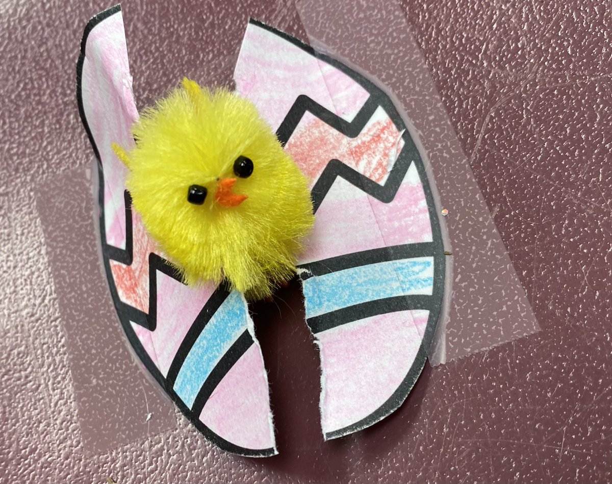 “Incubated” some eggs in our chairs this week and they hatched! 🤭🐣🩷