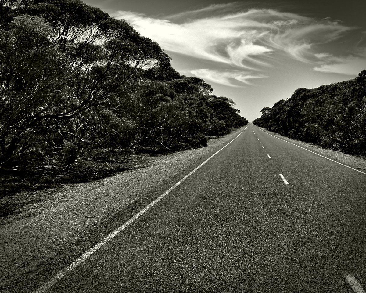 csdock's tweet image. Road to nowhere