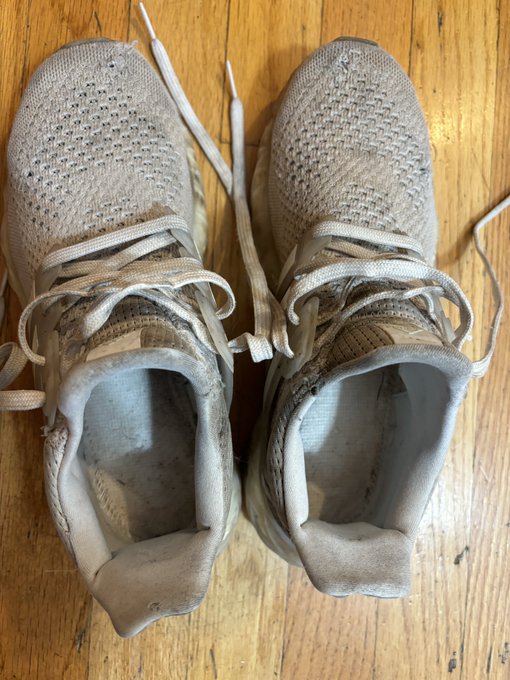I&rsquo;m selling my very well worn gym sneakers. $400. Includes a 10min video. Email me if interested: lynchceara@gmail