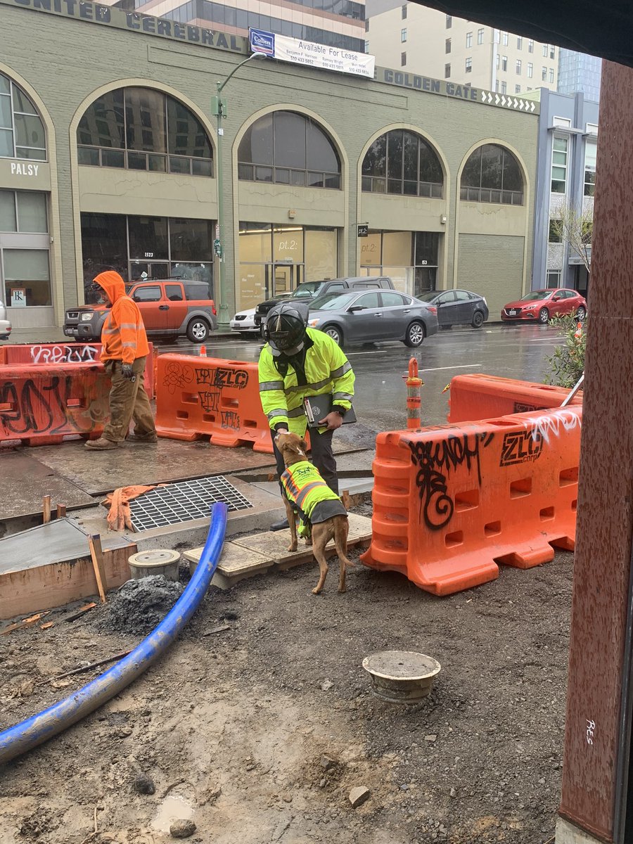 This inspection went Pawfectly! And even in the rain @OaklandFireCA will be there for your safety! #oaklandfire #fireprevention