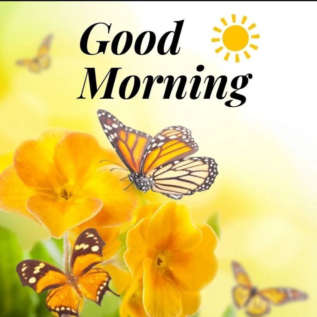 Good Morning