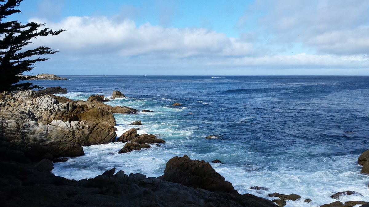 Tom Brighton (@tom772355) on Twitter photo 