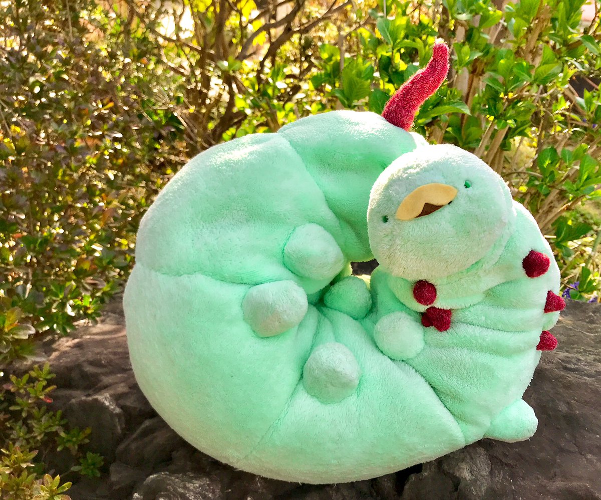 きょうのいもむしさん
