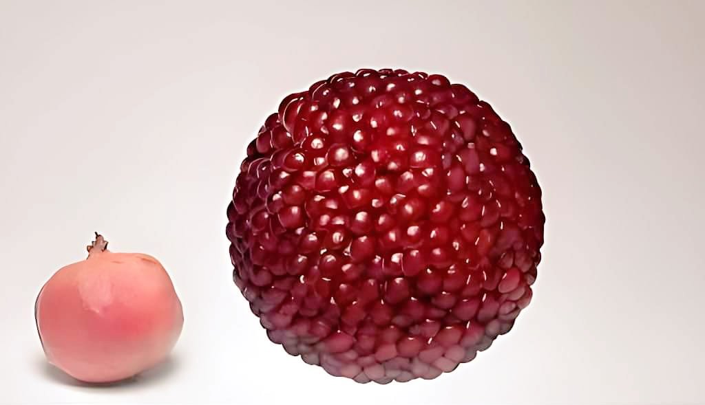 جوانار کے دانے ایسی باریکی سے ترتیب دے سکتا ہے وہ قادر ہے کہ تمہاری زندگی کو تمہاری خواہش سے بھی بہتر ترتیب عطا کر دے ۔