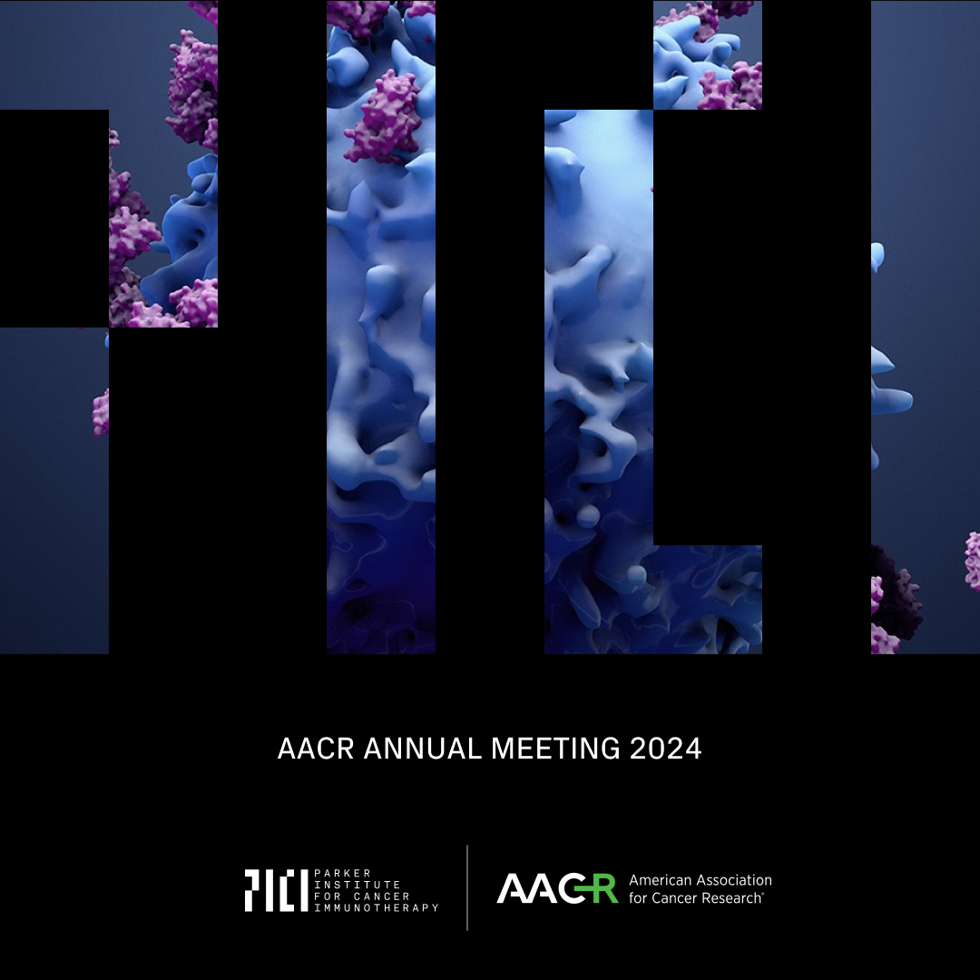 The PICI Network is ready to make a big impact at #AACR24: 3 keynote & special sessions, 5 session chairs, 6 oral presentations, 30 posters & 1 award. Our world-leading researchers will drive scientific discourse, showcasing groundbreaking cancer immunotherapy innovations. (1/2)